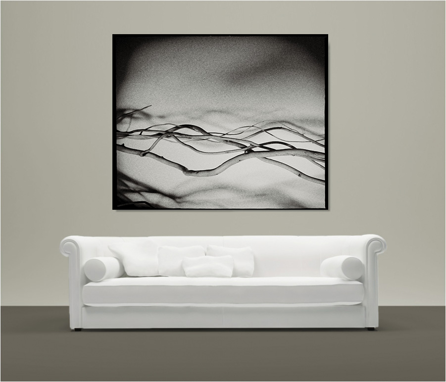 fineart_roots_unique